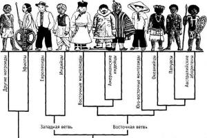 Formation of races on earth