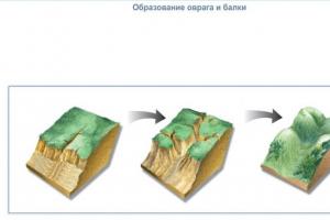 External and internal forces