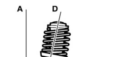 The Ultimate Guide (2019)