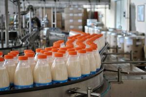 Analysis of the efficiency of milk production and sales in a joint venture